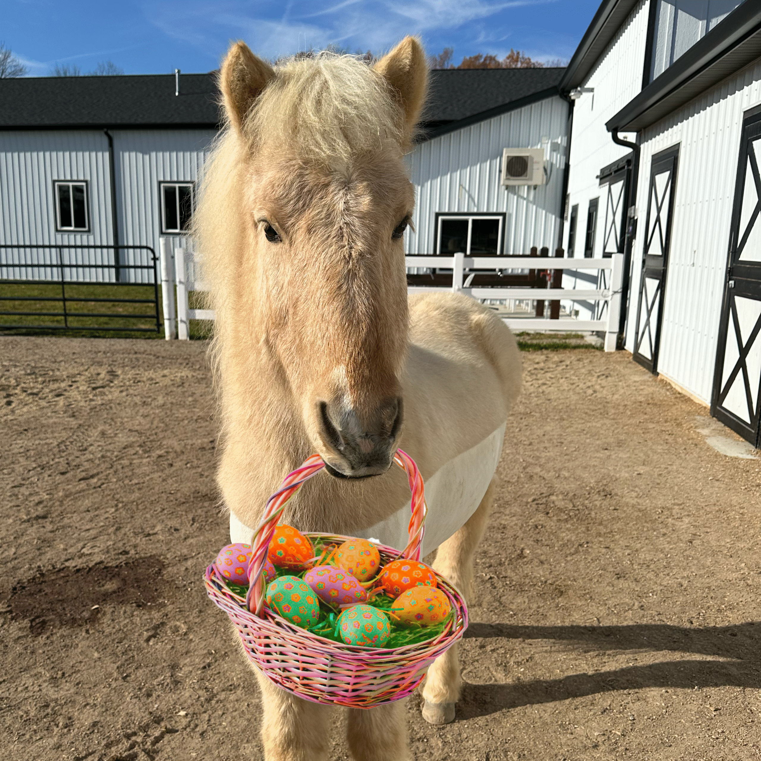 Easter Egg Hunt - logo